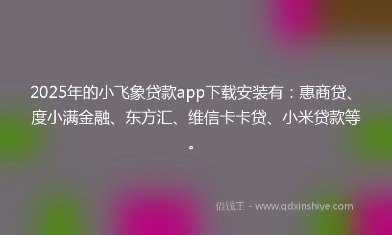 2025年的小飞象贷款app下载安装有：惠商贷、度小满金融、东方汇、维信卡卡贷、小米贷款等。