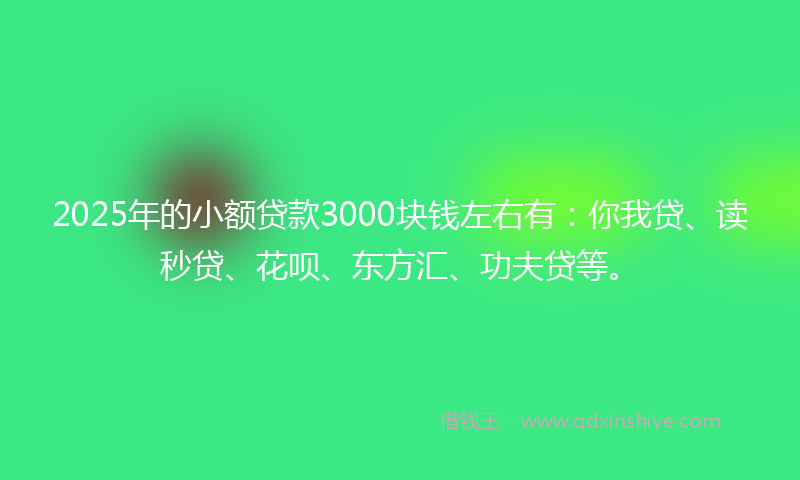 2025年的小额贷款3000块钱左右有：你我贷、读秒贷、花呗、东方汇、功夫贷等。