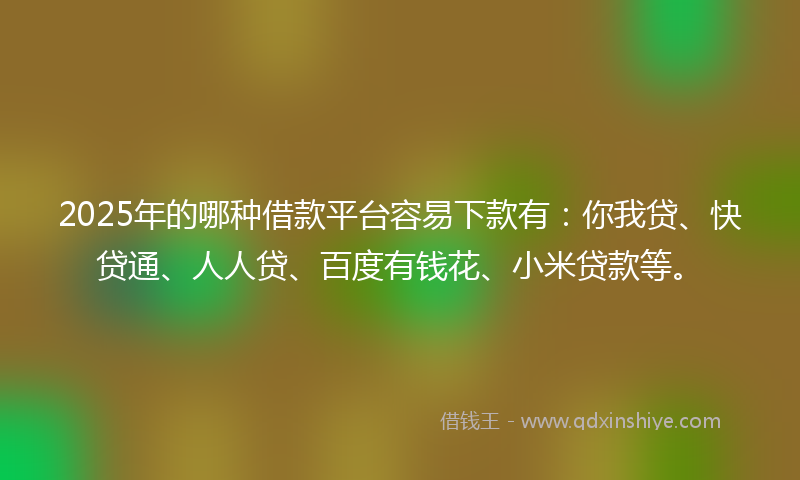2025年的哪种借款平台容易下款有：你我贷、快贷通、人人贷、百度有钱花、小米贷款等。