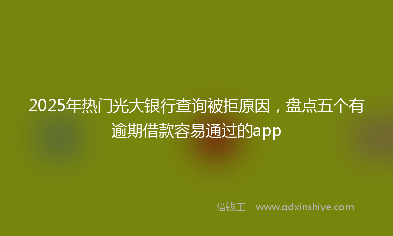 2025年热门光大银行查询被拒原因，盘点五个有逾期借款容易通过的app
