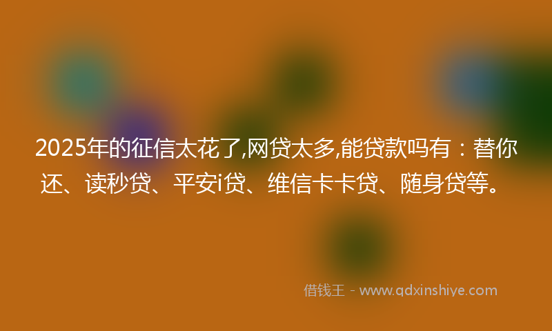2025年的征信太花了,网贷太多,能贷款吗有：替你还、读秒贷、平安i贷、维信卡卡贷、随身贷等。