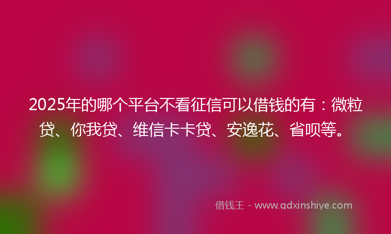 2025年的哪个平台不看征信可以借钱的有：微粒贷、你我贷、维信卡卡贷、安逸花、省呗等。