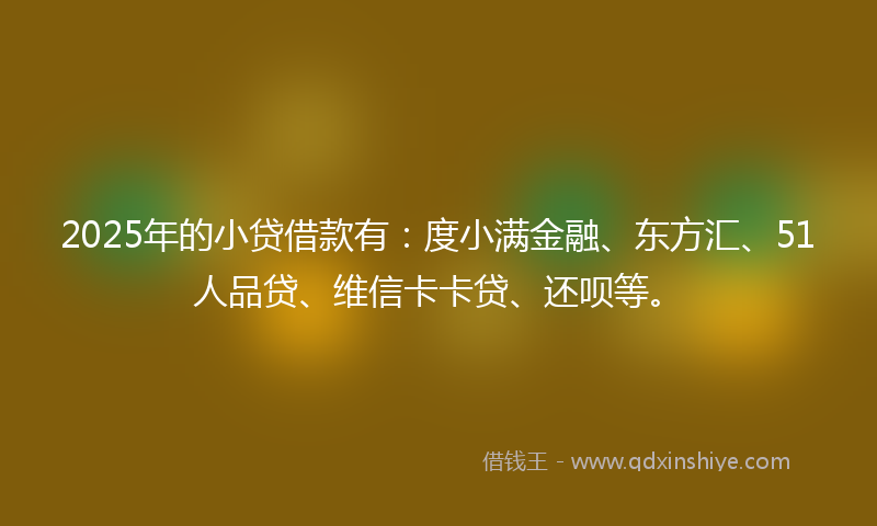 2025年的小贷借款有：度小满金融、东方汇、51人品贷、维信卡卡贷、还呗等。