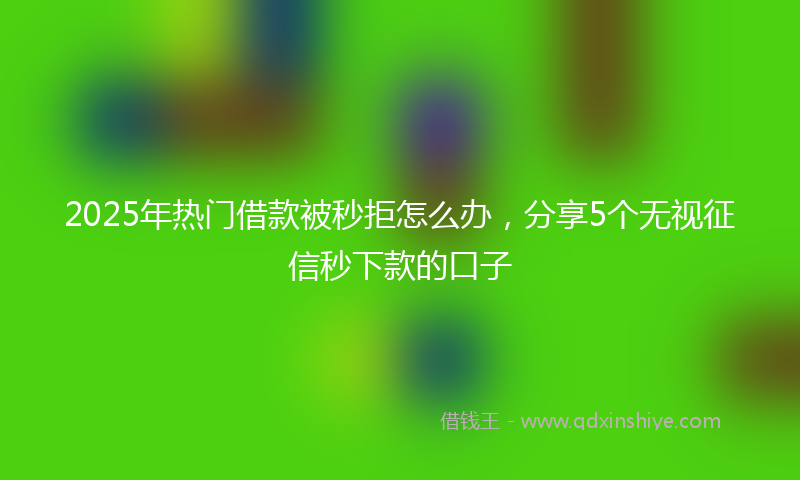 2025年热门借款被秒拒怎么办，分享5个无视征信秒下款的口子