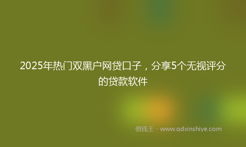 2025年热门双黑户网贷口子，分享5个无视评分的贷款软件