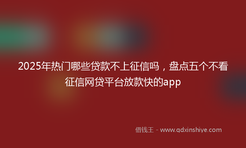 2025年热门哪些贷款不上征信吗，盘点五个不看征信网贷平台放款快的app