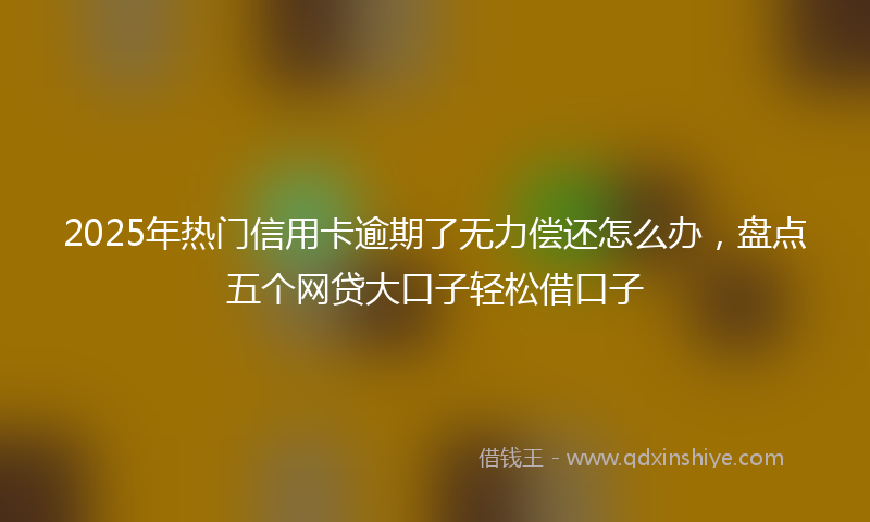 2025年热门信用卡逾期了无力偿还怎么办，盘点五个网贷大口子轻松借口子