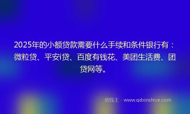 2025年的小额贷款需要什么手续和条件银行有：微粒贷、平安i贷、百度有钱花、美团生活费、团贷网等。