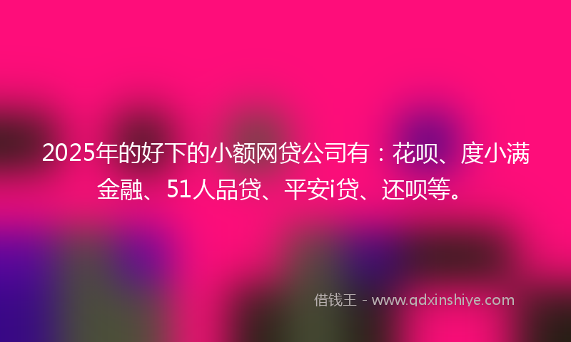 2025年的好下的小额网贷公司有：花呗、度小满金融、51人品贷、平安i贷、还呗等。