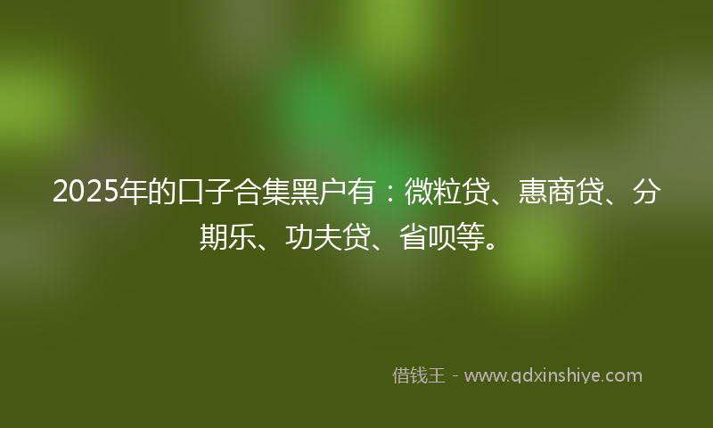 2025年的口子合集黑户有：微粒贷、惠商贷、分期乐、功夫贷、省呗等。