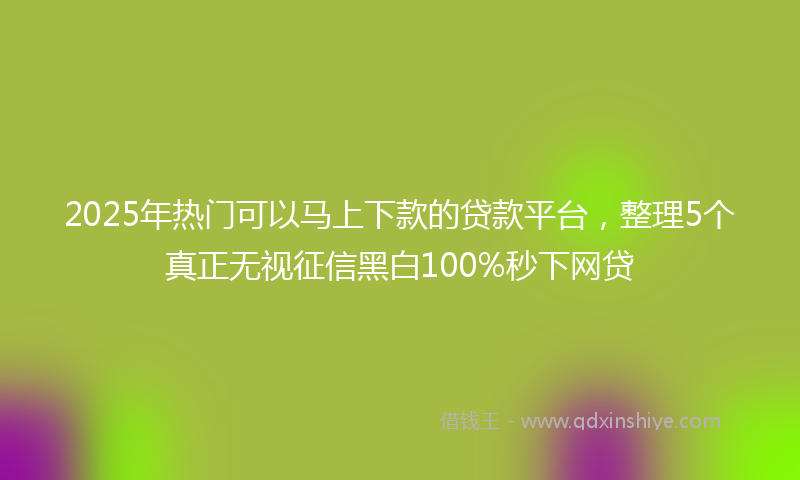 2025年热门可以马上下款的贷款平台，整理5个真正无视征信黑白100%秒下网贷