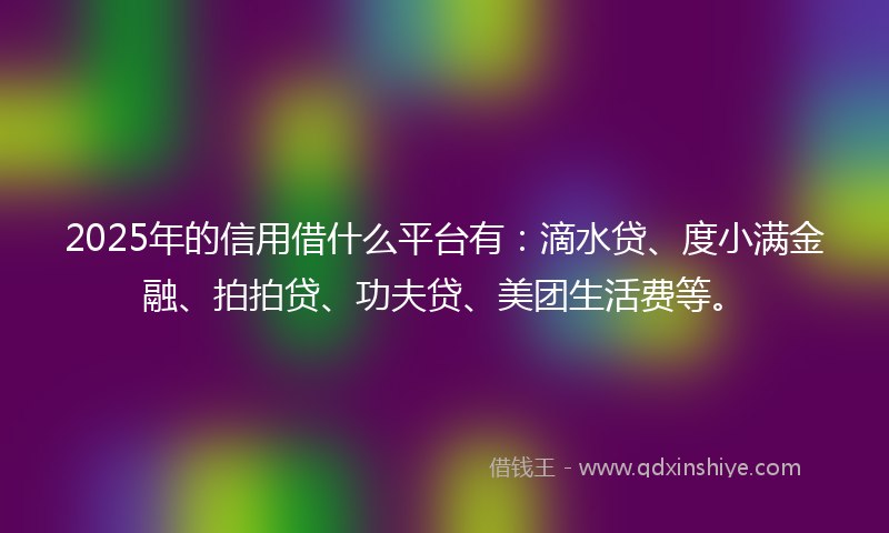 2025年的信用借什么平台有：滴水贷、度小满金融、拍拍贷、功夫贷、美团生活费等。