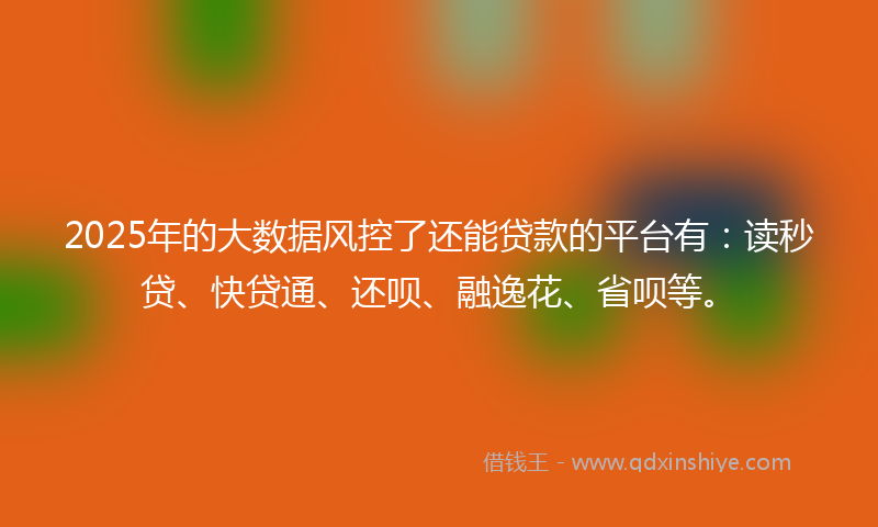 2025年的大数据风控了还能贷款的平台有：读秒贷、快贷通、还呗、融逸花、省呗等。