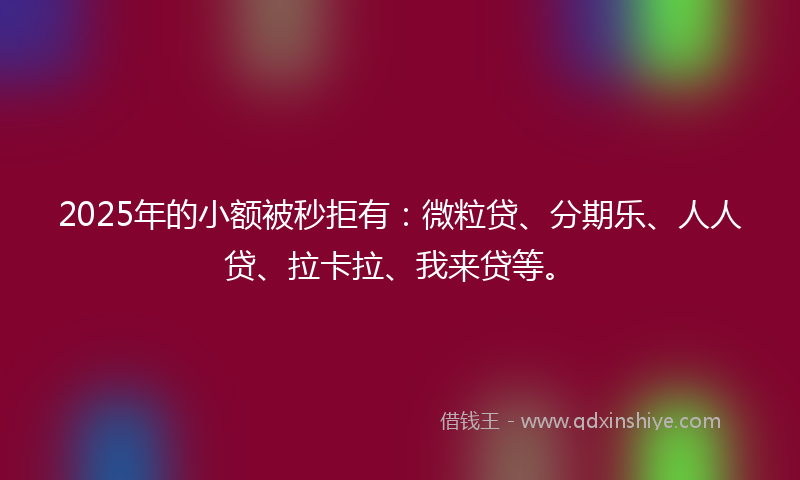 2025年的小额被秒拒有：微粒贷、分期乐、人人贷、拉卡拉、我来贷等。