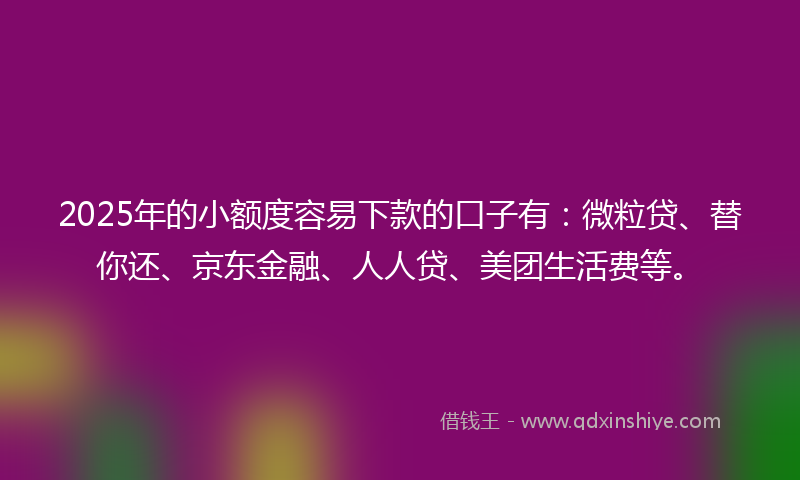 2025年的小额度容易下款的口子有：微粒贷、替你还、京东金融、人人贷、美团生活费等。