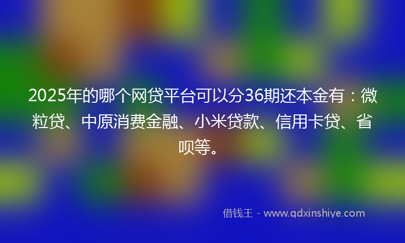 2025年的哪个网贷平台可以分36期还本金有：微粒贷、中原消费金融、小米贷款、信用卡贷、省呗等。