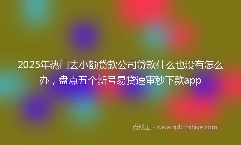 2025年热门去小额贷款公司贷款什么也没有怎么办，盘点五个新号易贷速审秒下款app