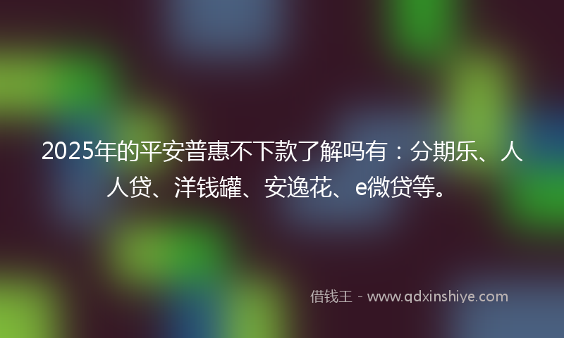 2025年的平安普惠不下款了解吗有：分期乐、人人贷、洋钱罐、安逸花、e微贷等。