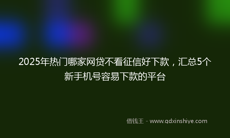 2025年热门哪家网贷不看征信好下款，汇总5个新手机号容易下款的平台