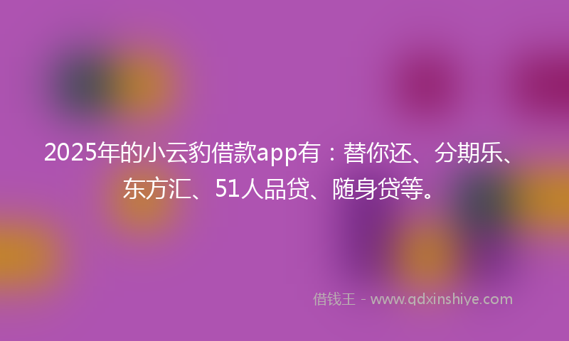 2025年的小云豹借款app有：替你还、分期乐、东方汇、51人品贷、随身贷等。
