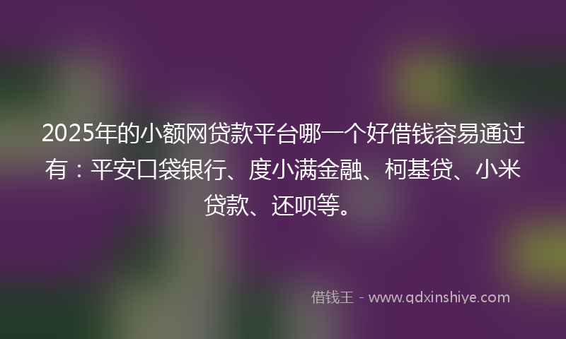 2025年的小额网贷款平台哪一个好借钱容易通过有：平安口袋银行、度小满金融、柯基贷、小米贷款、还呗等。