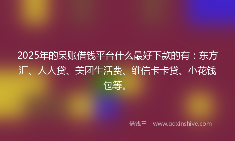 2025年的呆账借钱平台什么最好下款的有：东方汇、人人贷、美团生活费、维信卡卡贷、小花钱包等。