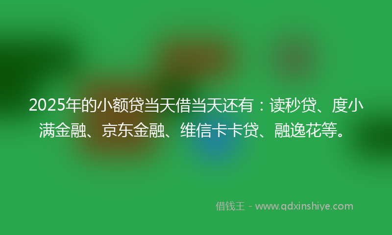 2025年的小额贷当天借当天还有：读秒贷、度小满金融、京东金融、维信卡卡贷、融逸花等。