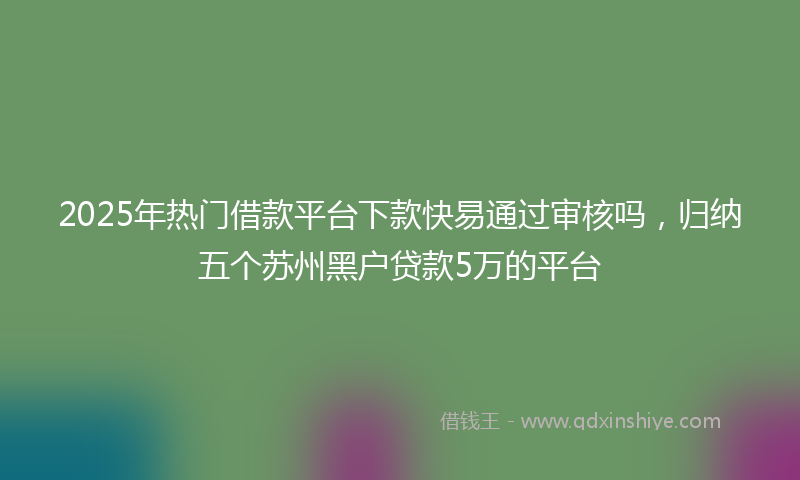 2025年热门借款平台下款快易通过审核吗，归纳五个苏州黑户贷款5万的平台