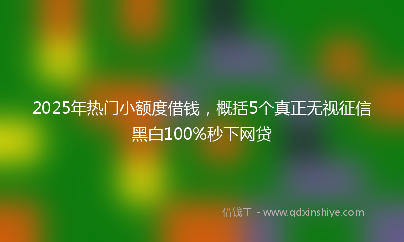 2025年热门小额度借钱，概括5个真正无视征信黑白100%秒下网贷