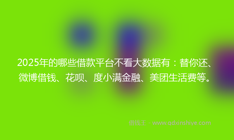 2025年的哪些借款平台不看大数据有：替你还、微博借钱、花呗、度小满金融、美团生活费等。