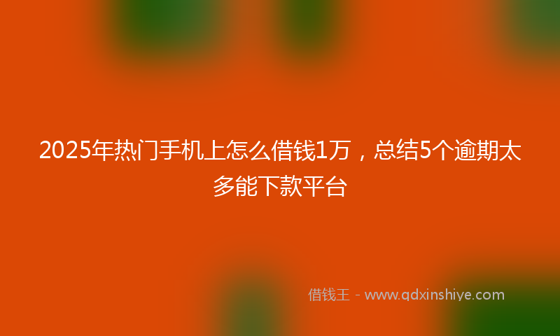 2025年热门手机上怎么借钱1万，总结5个逾期太多能下款平台