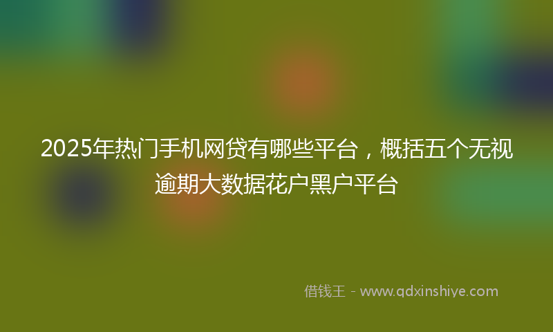 2025年热门手机网贷有哪些平台，概括五个无视逾期大数据花户黑户平台