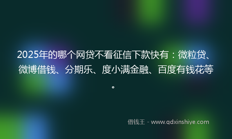 2025年的哪个网贷不看征信下款快有：微粒贷、微博借钱、分期乐、度小满金融、百度有钱花等。