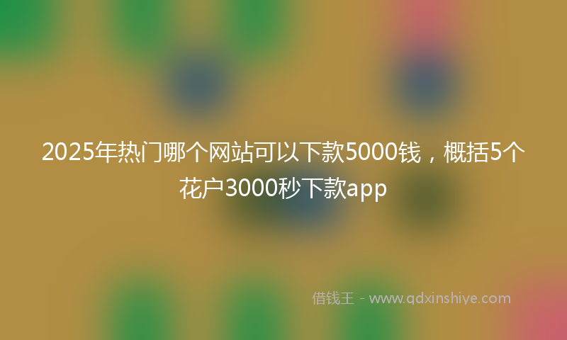 2025年热门哪个网站可以下款5000钱，概括5个花户3000秒下款app
