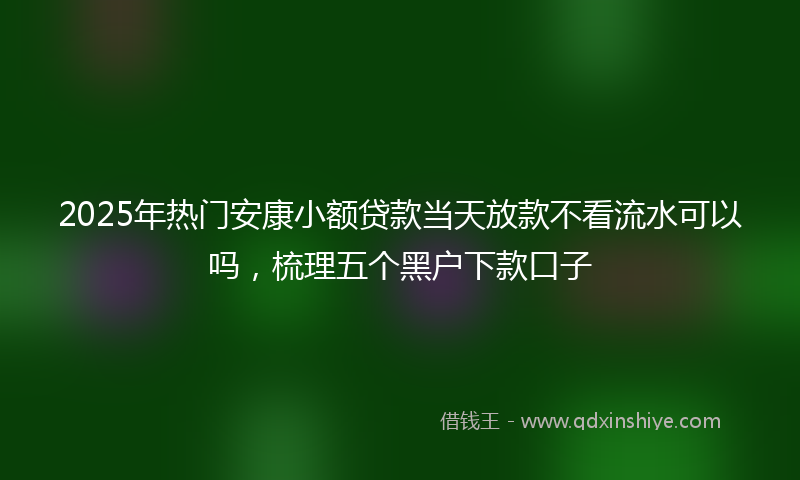 2025年热门安康小额贷款当天放款不看流水可以吗，梳理五个黑户下款口子