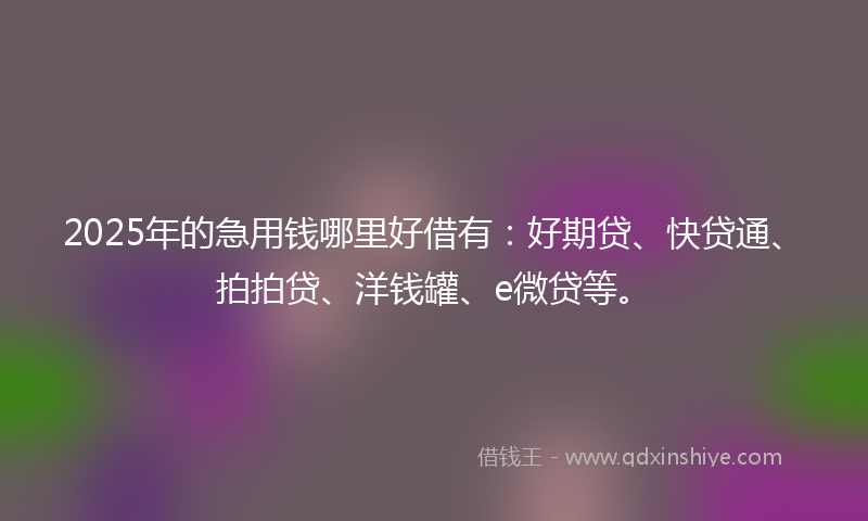 2025年的急用钱哪里好借有：好期贷、快贷通、拍拍贷、洋钱罐、e微贷等。