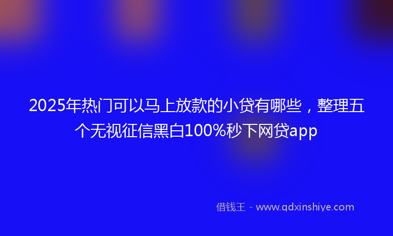 2025年热门可以马上放款的小贷有哪些，整理五个无视征信黑白100%秒下网贷app