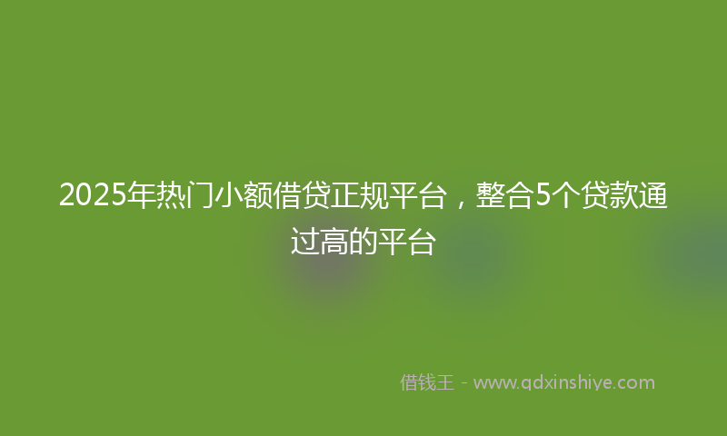 2025年热门小额借贷正规平台，整合5个贷款通过高的平台