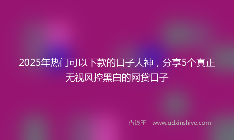 2025年热门可以下款的口子大神，分享5个真正无视风控黑白的网贷口子
