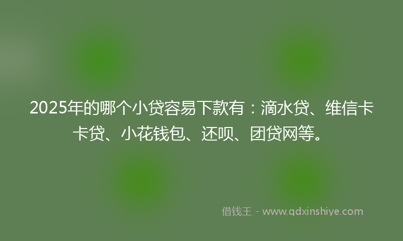 2025年的哪个小贷容易下款有：滴水贷、维信卡卡贷、小花钱包、还呗、团贷网等。