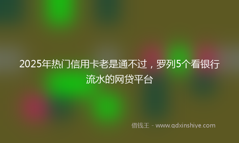 2025年热门信用卡老是通不过，罗列5个看银行流水的网贷平台