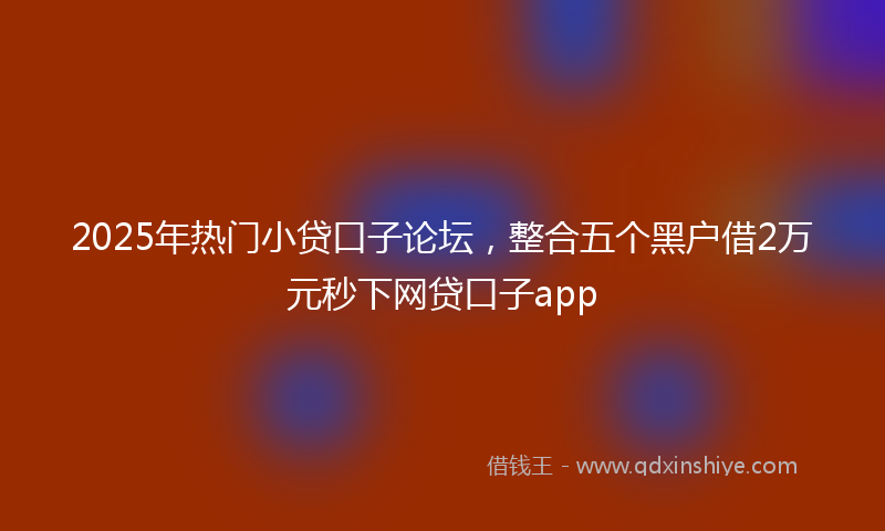 2025年热门小贷口子论坛，整合五个黑户借2万元秒下网贷口子app