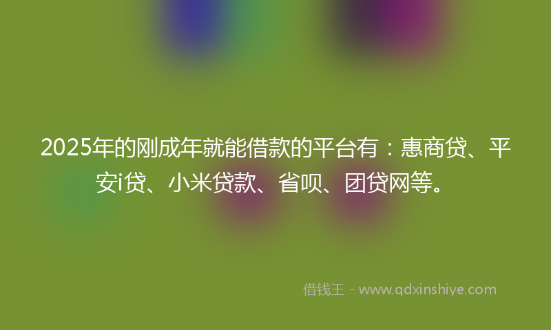 2025年的刚成年就能借款的平台有：惠商贷、平安i贷、小米贷款、省呗、团贷网等。
