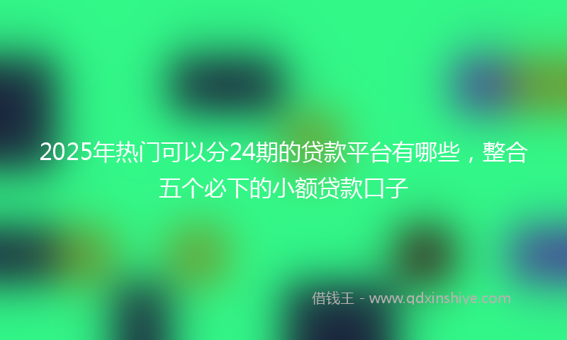 2025年热门可以分24期的贷款平台有哪些，整合五个必下的小额贷款口子