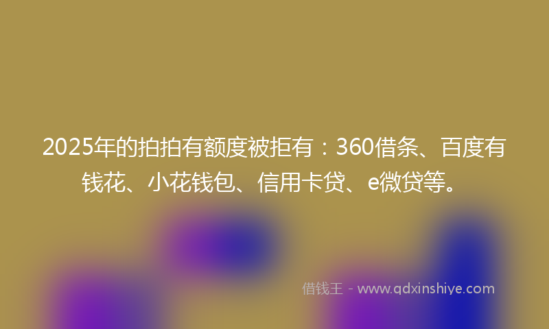2025年的拍拍有额度被拒有：360借条、百度有钱花、小花钱包、信用卡贷、e微贷等。