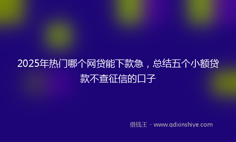 2025年热门哪个网贷能下款急，总结五个小额贷款不查征信的口子