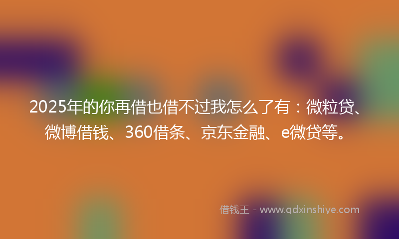 2025年的你再借也借不过我怎么了有：微粒贷、微博借钱、360借条、京东金融、e微贷等。