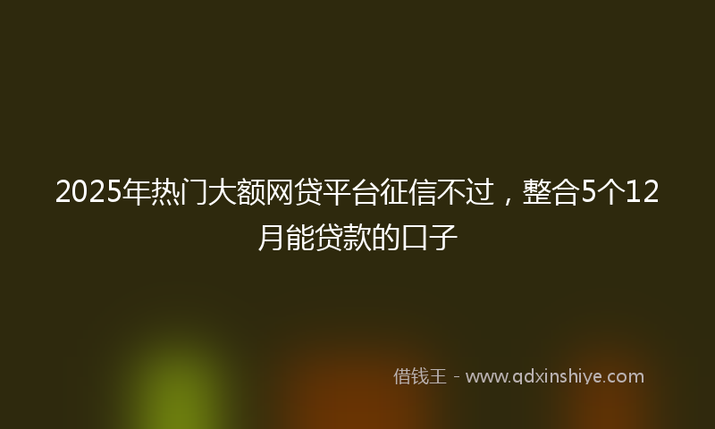 2025年热门大额网贷平台征信不过，整合5个12月能贷款的口子