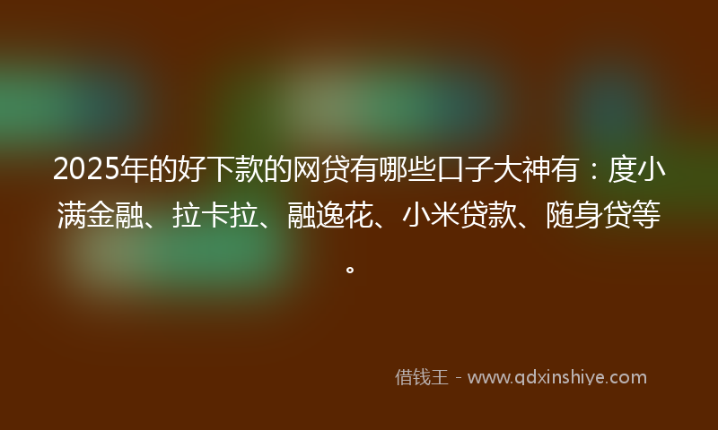 2025年的好下款的网贷有哪些口子大神有：度小满金融、拉卡拉、融逸花、小米贷款、随身贷等。