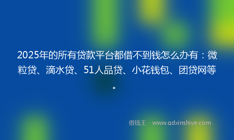 2025年的所有贷款平台都借不到钱怎么办有：微粒贷、滴水贷、51人品贷、小花钱包、团贷网等。